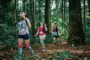 BIB: 
                            <button type="button" onclick="openModal(26134140)" class="btn btn-primary btn-sm float-right btn-popup" data-toggle="modal" data-target=".modal-high-quality">
                        <i class="fas fa-shopping-cart"></i> Add to Cart
                    </button>
                                            <button type="button" onclick="isThisMe(26134140, true)" class="btn btn-success btn-sm float-right btn-popup btn-isme hidden" data-toggle="tooltip" data-placement="bottom" title="นี่คือรูปของคุณใช่ไหม คลิกที่นี่เพื่อเอาเข้าอัลบั้ม">
                        <i class="fas fa-plus"></i> Add to album
                    </button>
                    <button type="button" onclick="isThisMe(26134140, false)" class="btn btn-warning btn-sm float-right btn-popup btn-isnotme hidden">
                        <i class="fas fa-ban"></i> Remove from album
                    </button>